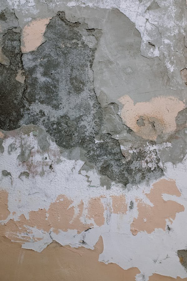 Placo humide : les signes qu'il est temps de le changer